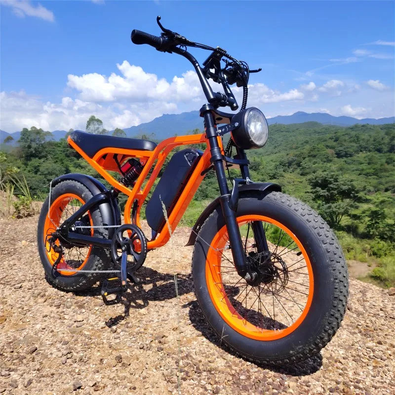 Brushless Motor Electric Bike