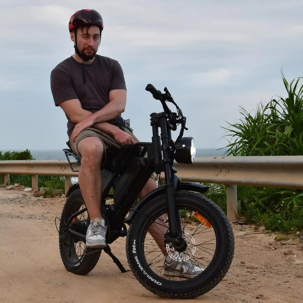 Off Road Fat Tire Electric Bike