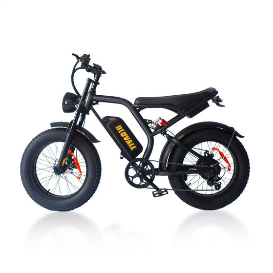 Moped Style Electric bike