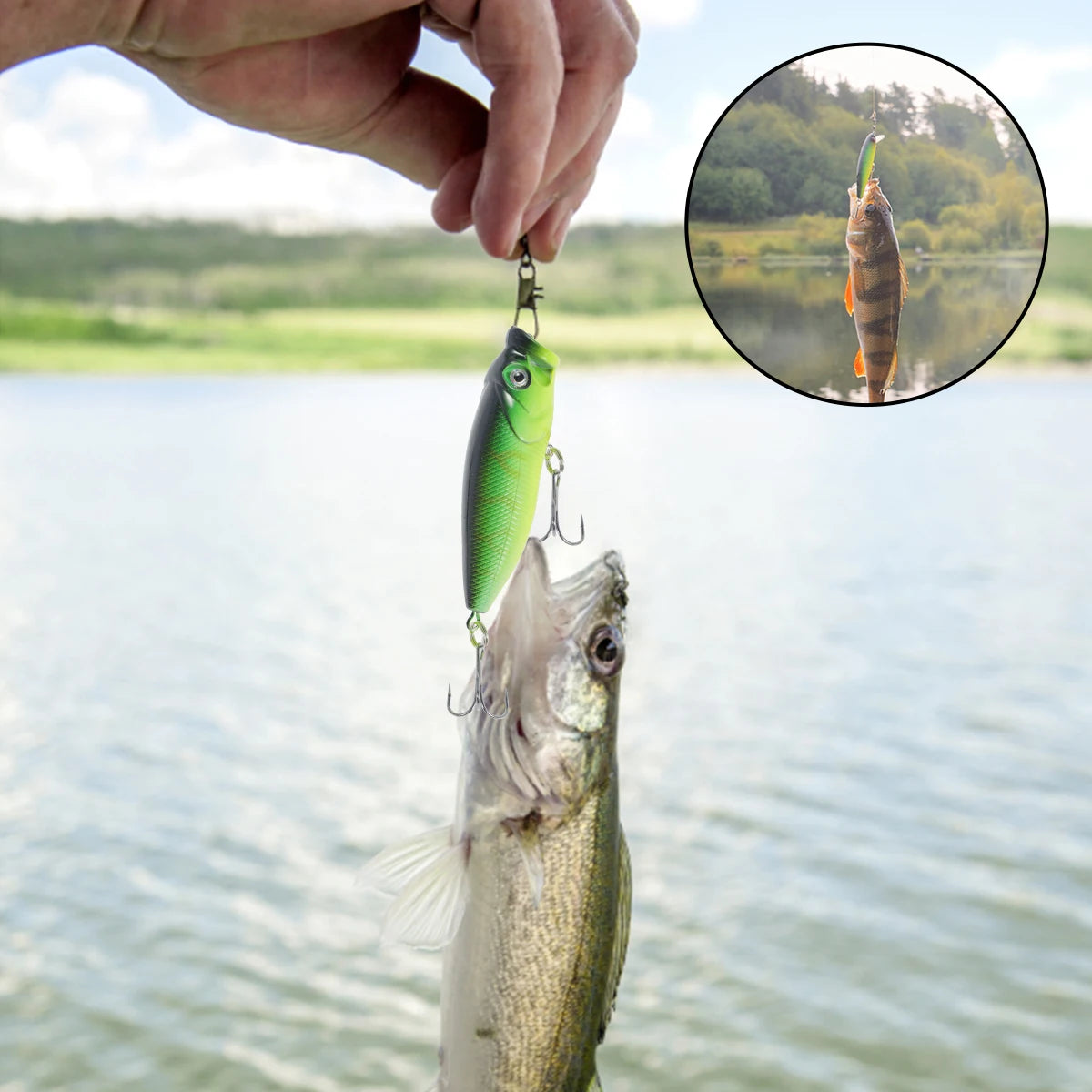 Soft and Hard Mixed Swim Bait Set