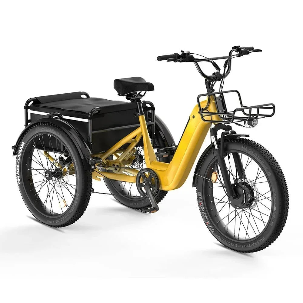 Three Wheel Electric Cargo Bike 500W Motor