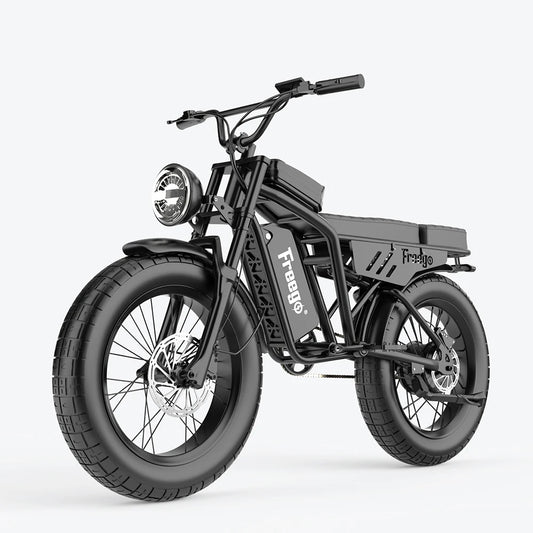 1000w E Motorcycle With Fat tires