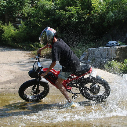 Electric Fat Tire Off-Road Bike