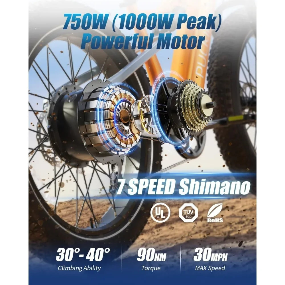 Fat Tire Full Suspension Ebike