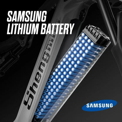 High Power Dual Motor Electric Bicycle