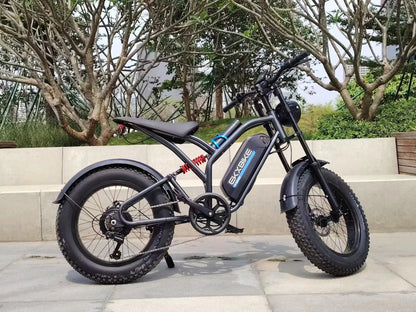 Fat Tire Electric Mountain Bike