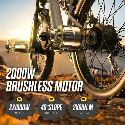 High Power Dual Motor Electric Bicycle