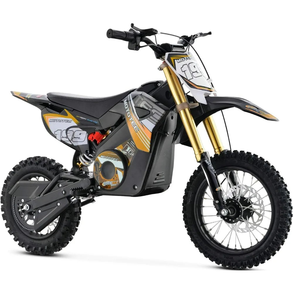 Kids Pro Electric 36v Dirt Bike