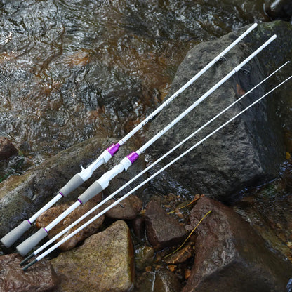 2 Section Travel Spinning Fishing Rod