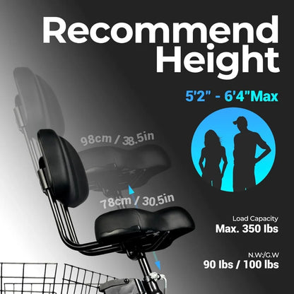 Foldable Electric Fat Tire Tricycle