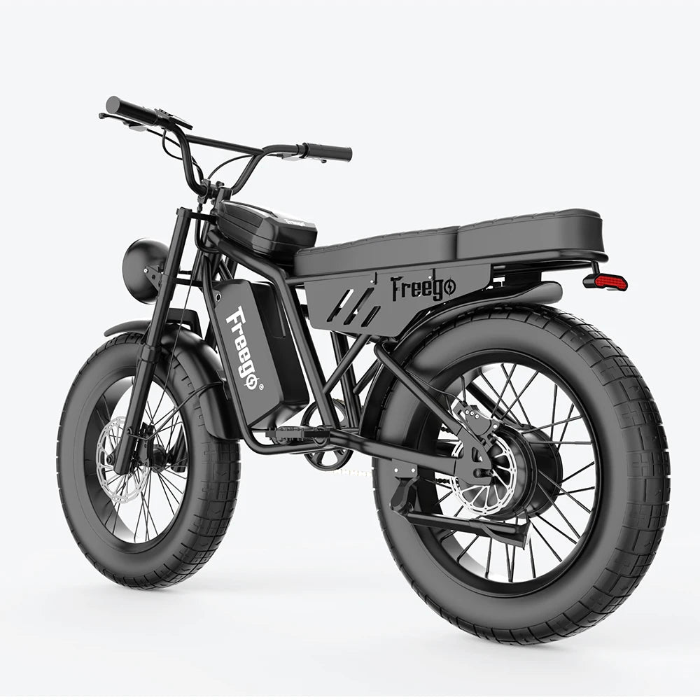 1000w E Motorcycle With Fat tires