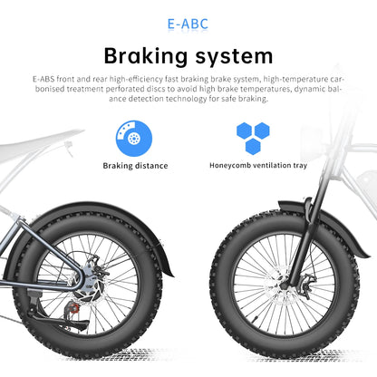 Fat Tire Electric Mountain Bike