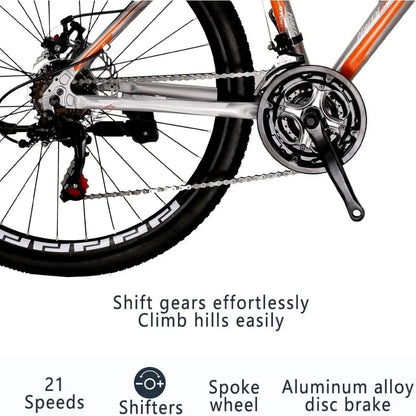 21-Speed Dual Disc Brake Mountain Bicycle