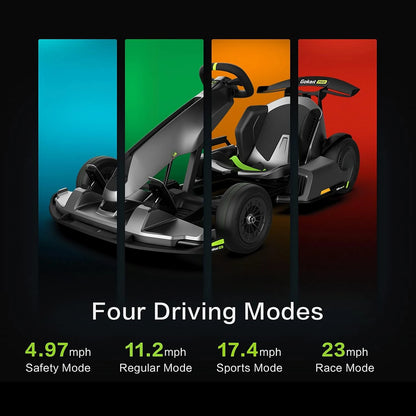 Electric Race Go Kart  for Kids and Adults