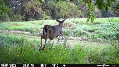 Solar Hunting Trail Camera 100 Foot Detection