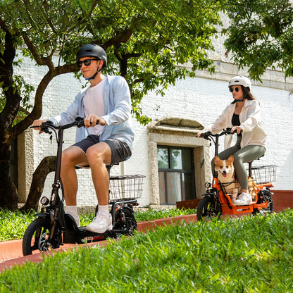 500W Powerful Electric Scooter With Seat