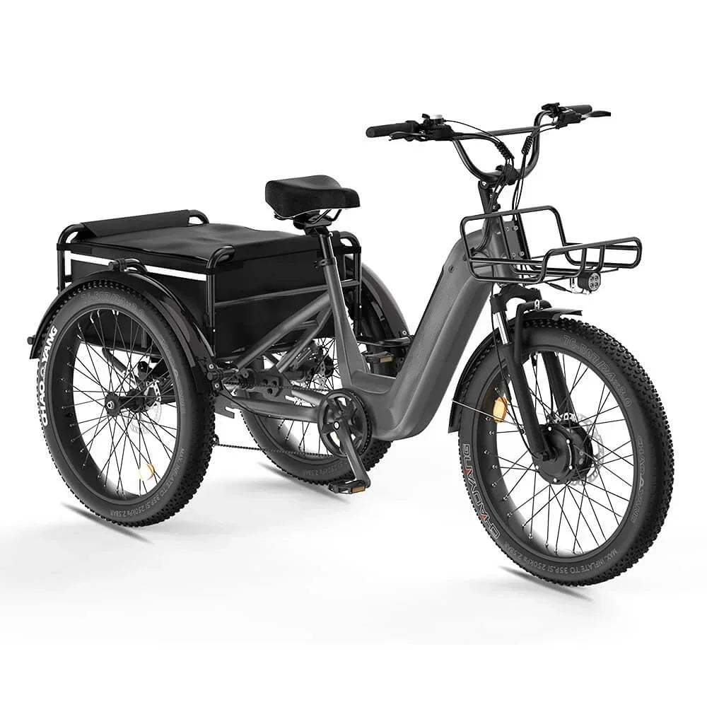 Three Wheel Electric Cargo Bike 500W Motor