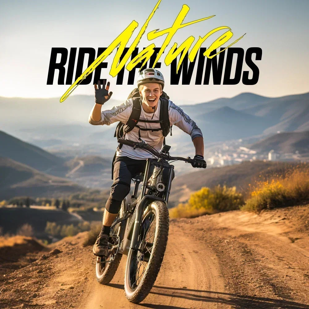 High Power Dual Motor Electric Bicycle